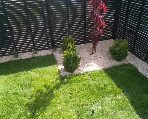 TRAWNIKI Z ROLKI LUB SIEWU